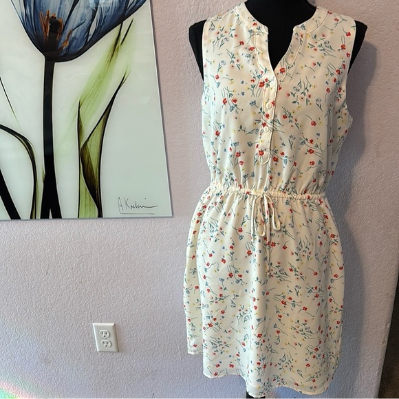 41 Hawthorn Dresses & Skirts - dress size small